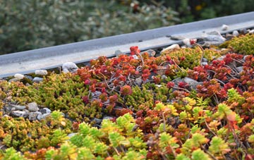 the cost of High Onn green roof installation