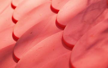 High Onn plastic roof costs