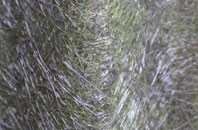 High Onn fibreglass roof work